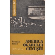 America ogarului cenusiu - Romulus Rusan