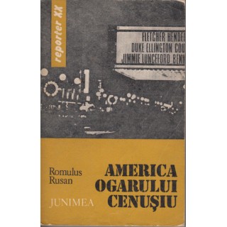 America ogarului cenusiu - Romulus Rusan