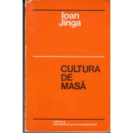 Cultura de masa - Ioan Jinga
