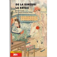 De la simturi la extaz, roman erotic din timpul dinastiei Ming - *