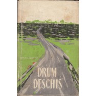 Drum Deschis - Serban Nedelcu