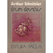 Drum deschis - Arthur Schnitzler