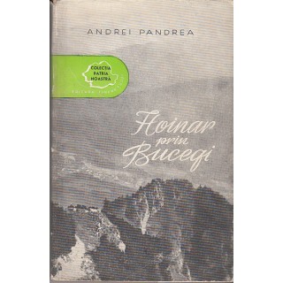 Hoinar prin Bucegi - Andrei Pandrea