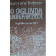 O oglinda indepartata, urgisitul secol XIV, vol. I, II - Barbara W. Tuchman