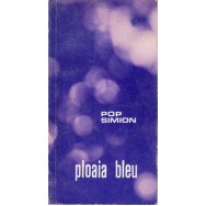 Ploaia bleu - Pop Simion