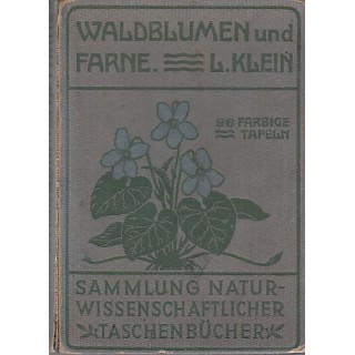 Waldblumen und farne, V - Ludwig Klein