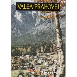 Valea Prahovei - Marcel Breslasu