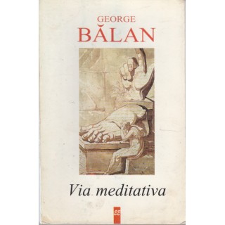 Via meditativa - George Balan